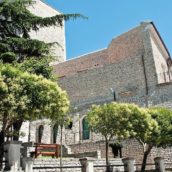 Casalbore, l’amministrazione comunale scende in campo anche al fianco degli allevatori locali Casalbore, l’amministrazione comunale scende in campo anche al fianco degli allevatori locali