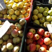 Ariano Irpino, domani riapre il mercato settimanale ortofrutticolo sul parcheggio Calvario Ariano Irpino, domani riapre il mercato settimanale ortofrutticolo sul parcheggio Calvario