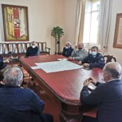 Benevento, questione alberi viale Atlantici, questa mattina si è riunito il tavolo tecnico