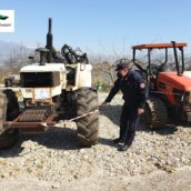 Sannio, azione di prevenzione e repressione dei reati contro il patrimonio forestale da parte dei Carabinieri Sannio, azione di prevenzione e repressione dei reati contro il patrimonio forestale da parte dei Carabinieri