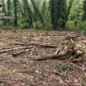 Senerchia, esegue opere in area protetta in assenza di autorizzazione: 70enne denunciato Senerchia, esegue opere in area protetta in assenza di autorizzazione: 70enne denunciato