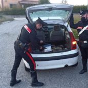 San Marco dei Cavoti, due denunce per violazione normativa ambientale e sanzioni per violazioni norme anti-Covid e CDS San Marco dei Cavoti, due denunce per violazione normativa ambientale e sanzioni per violazioni norme anti-Covid e CDS