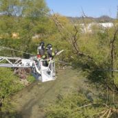 Manocalzati, rami di alberi caduti su linee Enel, intervento dei Vigili del Fuoco Manocalzati, rami di alberi caduti su linee Enel, intervento dei Vigili del Fuoco