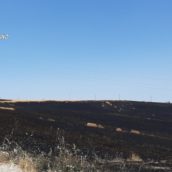 Bisaccia, denunciato 30enne responsabile delle fiamme di un terreno agricolo