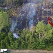Manocalzati, a fuoco tremila metri di macchia mediterranea Manocalzati, a fuoco tremila metri di macchia mediterranea