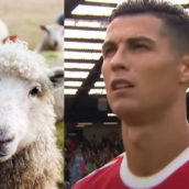 Cristiano Ronaldo cambia casa a causa delle pecore che non lo lasciano dormire