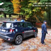 Cusano Mutri, arresto in flagranza per furto aggravato Cusano Mutri, arresto in flagranza per furto aggravato