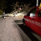 Maltempo Irpinia, numerosi interventi in provincia da parte dei Vigili del Fuoco Maltempo Irpinia, numerosi interventi in provincia da parte dei Vigili del Fuoco