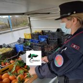 Sannio, Operazione “Safe Christmas 21”: sequestrati circa sei quintali di prodotti alimentari