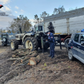 Operazione “Bosco Sicuro”: tagliavano e rubavano alberi nel Parco Taburno Camposauro