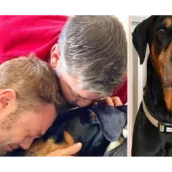 Tiziano Ferro dice addio a Jake, il suo amato cane