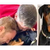 Tiziano Ferro dice addio a Jake, il suo amato cane Tiziano Ferro dice addio a Jake, il suo amato cane