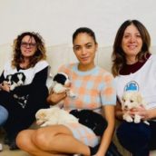 Il grande cuore di Elodie: grazie al suo aiuto otto cuccioli sono stati adottati Il grande cuore di Elodie: grazie al suo aiuto otto cuccioli sono stati adottati