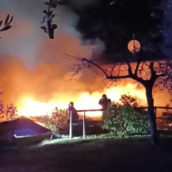 Gatto eroe salva la sua famiglia da un incendio ma non sopravvive al fumo