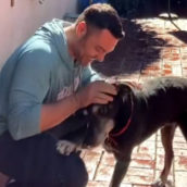 Tiziano Ferro adotta un nuovo cane adulto: “Benvenuto a casa Gianni!” Tiziano Ferro adotta un nuovo cane adulto: “Benvenuto a casa Gianni!”