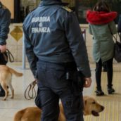 Mangia biscotti preparati da lei con sostanze stupefacenti e si sente male: soccorsa dai Finanzieri coi cani antidroga Mangia biscotti preparati da lei con sostanze stupefacenti e si sente male: soccorsa dai Finanzieri coi cani antidroga