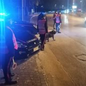 Movida a Telese Terme, controlli dei Carabinieri: denunce e sequestri Movida a Telese Terme, controlli dei Carabinieri: denunce e sequestri
