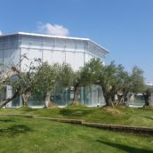 Biogem, la staminalità e il suo ‘alter ego’ nel seminario di Geppino Falco Biogem, la staminalità e il suo ‘alter ego’ nel seminario di Geppino Falco