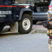 Valle Caudina: arresti dei Carabinieri di Montesarchio nel contrasto allo spaccio di droga