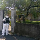 La mamma della piccola Elena ha confessato: “L’ho uccisa io” La mamma della piccola Elena ha confessato: “L’ho uccisa io”