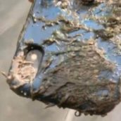 iPhone da record, dopo 10 mesi nel fiume funziona ancora