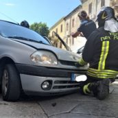 Un piccione entra dal finestrino dell’auto e provoca un incidente Un piccione entra dal finestrino dell’auto e provoca un incidente