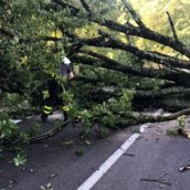 Maltempo Irpinia, diversi gli interventi dei Vigili del Fuoco nella notte Maltempo Irpinia, diversi gli interventi dei Vigili del Fuoco nella notte
