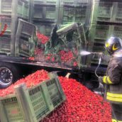 Incendio a semirimorchio, i Vigili del Fuoco intervengono a Lioni Incendio a semirimorchio, i Vigili del Fuoco intervengono a Lioni