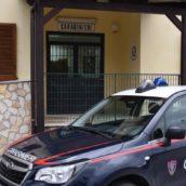 Lacedonia, poiana ferita, salvata dai Carabinieri Forestali Lacedonia, poiana ferita, salvata dai Carabinieri Forestali