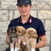 Bisaccia, cuccioli di cane abbandonati salvati dai Carabinieri Forestali Bisaccia, cuccioli di cane abbandonati salvati dai Carabinieri Forestali