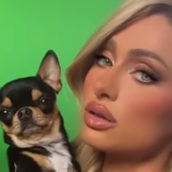 Paris Hilton lancia un appello per ritrovare la sua amata Chihuahua Paris Hilton lancia un appello per ritrovare la sua amata Chihuahua