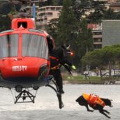 Morto Napoleone, l’eroe a quattrozampe che si buttava in acqua dall’elisoccorso Morto Napoleone, l’eroe a quattrozampe che si buttava in acqua dall’elisoccorso
