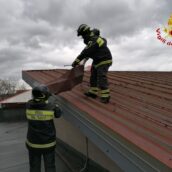 Maltempo, numerosi interventi in provincia di Avellino dei Vigili del Fuoco Maltempo, numerosi interventi in provincia di Avellino dei Vigili del Fuoco