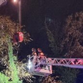 Maltempo in Irpinia, caduta di alberi e pali Telecom: più di 20 gli interventi dei Vigili del Fuoco Maltempo in Irpinia, caduta di alberi e pali Telecom: più di 20 gli interventi dei Vigili del Fuoco