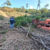 Scoperto a rubare legna in un’area protetta: un arresto