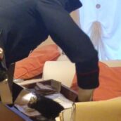 Nasconde cocaina nel ripostiglio di casa, ma il fiuto di Luna non fallisce Nasconde cocaina nel ripostiglio di casa, ma il fiuto di Luna non fallisce