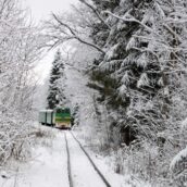 C’è un treno magico che va in Lapponia nella città di Babbo Natale