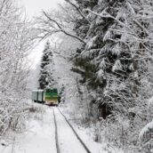 C’è un treno magico che va in Lapponia nella città di Babbo Natale C’è un treno magico che va in Lapponia nella città di Babbo Natale