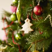 L’albero di Natale? Lo avete sempre fatto nel modo sbagliato. Ecco come si fa L’albero di Natale? Lo avete sempre fatto nel modo sbagliato. Ecco come si fa