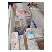 Valle Telesina, controlli a pescherie e mercati rionali: sanzioni e sequestro di 120 kg di prodotti ittici Valle Telesina, controlli a pescherie e mercati rionali: sanzioni e sequestro di 120 kg di prodotti ittici