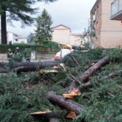 Maltempo in Irpinia, forte vento e pioggia: caschi rossi in azione Maltempo in Irpinia, forte vento e pioggia: caschi rossi in azione