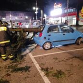 Atripalda, tragedia sfiorata nel parcheggio del Famila: un grosso ramo si abbatte su un’autovettura in sosta