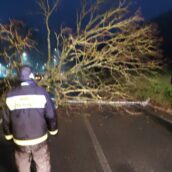 Maltempo in Irpinia, continua il lavoro dei Vigili del Fuoco Maltempo in Irpinia, continua il lavoro dei Vigili del Fuoco