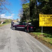 Sannio, controlli alla circolazione stradale: sanzioni e sequestro per tre veicoli Sannio, controlli alla circolazione stradale: sanzioni e sequestro per tre veicoli