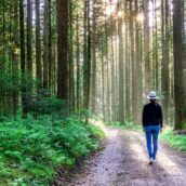Camminare tra gli alberi è benefico. Il ricercatore: “L’aria forestale è ansiolitica” Camminare tra gli alberi è benefico. Il ricercatore: “L’aria forestale è ansiolitica”