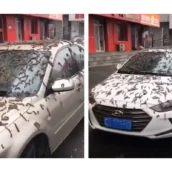 Cina, pioggia di vermi in strada. Ecco cos’è successo davvero