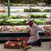 Nuovi regolamenti UE sugli imballaggi: rischio stop per l’insalata in busta Nuovi regolamenti UE sugli imballaggi: rischio stop per l’insalata in busta