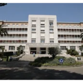 Mangiano dei funghi raccolti nel bosco: una persona muore e 4 finiscono in ospedale Mangiano dei funghi raccolti nel bosco: una persona muore e 4 finiscono in ospedale