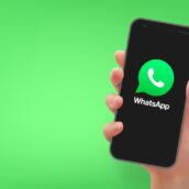 Whatsapp, in arrivo una importante novità Whatsapp, in arrivo una importante novità