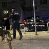 Montesarchio, Carabinieri eseguono mirati servizi di controllo del territorio Montesarchio, Carabinieri eseguono mirati servizi di controllo del territorio